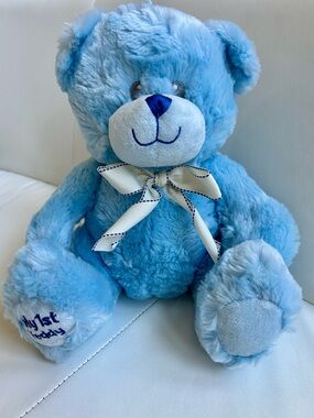 The Petting Zoo 12” Teddy Bear Pink Plush Stuffed Animal My First Teddy